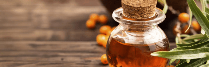 Облепиховое масло: лечебные свойства