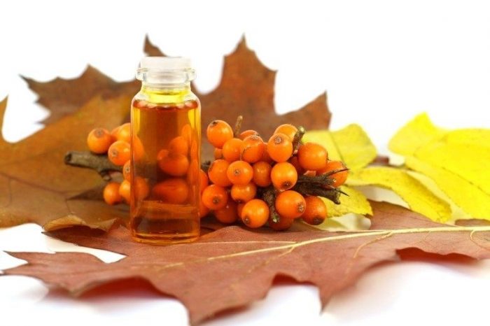 Облепиховое масло: лечебные свойства