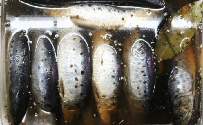 Как солить иваси в домашних условиях