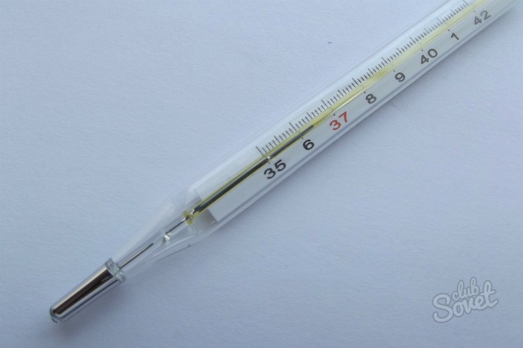 Как проверить щитовидную железу