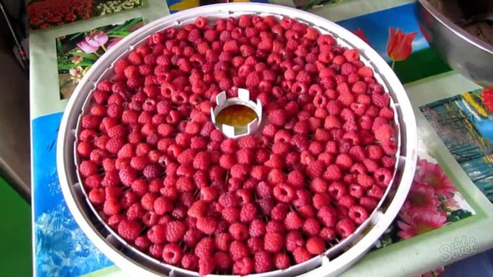 Как засушить малину