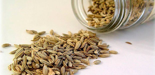 Семена укропа — лечебные свойства и противопоказания, правила приема