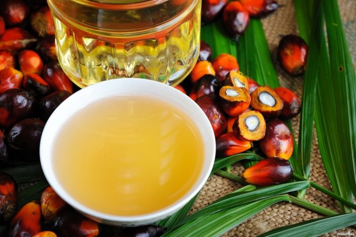 Пальмовое масло: польза и вред, показания и противопоказания