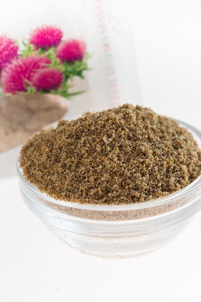 Шрот расторопши: показания и противопоказания к применению