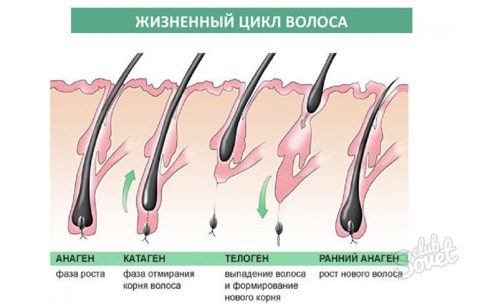 Как восстановить ресницы после наращивания в домашних условиях