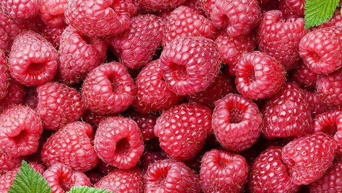 Как засушить малину