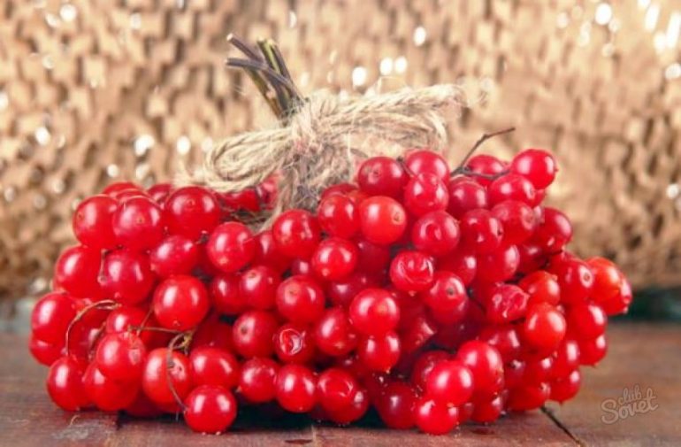 Как хранить калину