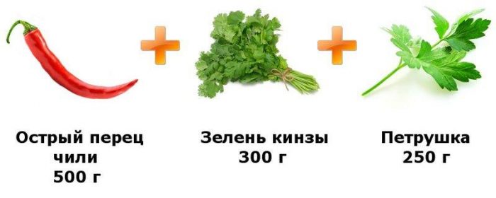 Кориандр - полезные свойства и противопоказания к использованию