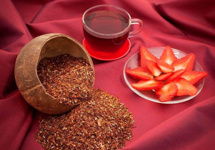 Чай ройбуш – полезные свойства и противопоказания к использованию