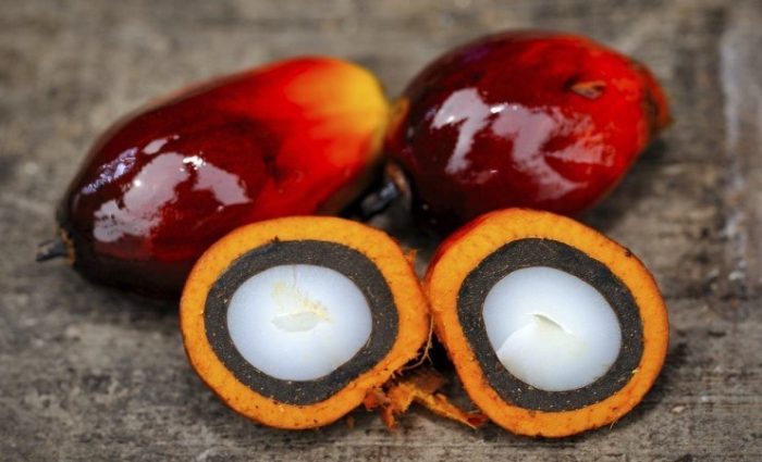 Пальмовое масло: польза и вред, показания и противопоказания