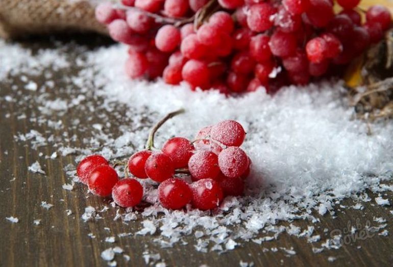 Как хранить калину