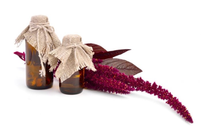 Амарантовое масло: свойства и применение, польза и вред