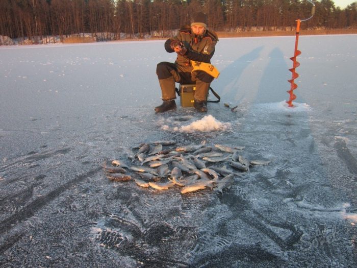 Как ловить леща зимой
