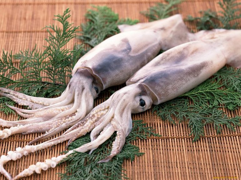 Кальмары: химический состав, польза для женщин и мужчин, а также можно ли детям, кому противопоказан и в каком виде в нем сохраняется больше всего витаминов?