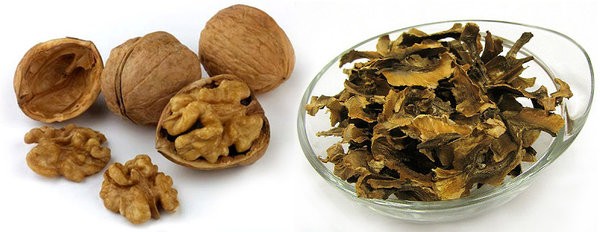 Корисні властивості перегородок волоського горіха Корисні властивості перегородок волоського горіха