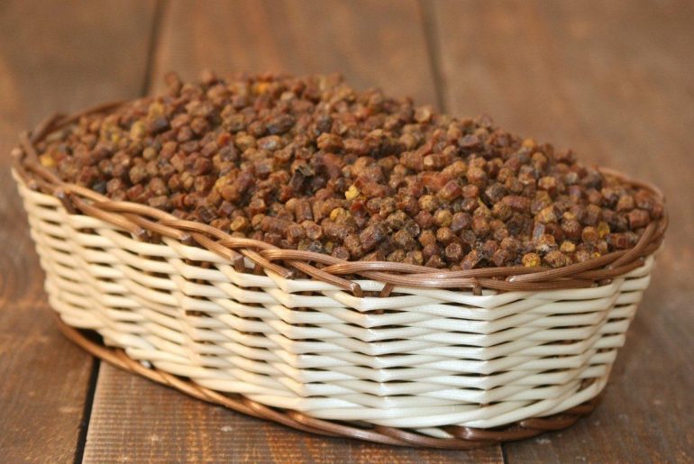 Перга: химический состав, польза для мужчин, детей и женщин, в том числе при беременности, лечебные свойства, способы хранения в домашних условиях