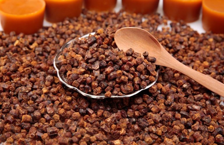 Перга: химический состав, польза для мужчин, детей и женщин, в том числе при беременности, лечебные свойства, способы хранения в домашних условиях