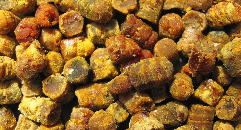 Перга: химический состав, польза для мужчин, детей и женщин, в том числе при беременности, лечебные свойства, способы хранения в домашних условиях