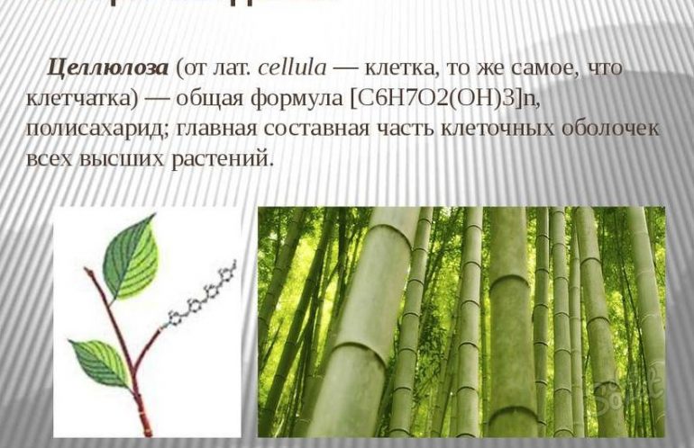 Что такое вискоза?