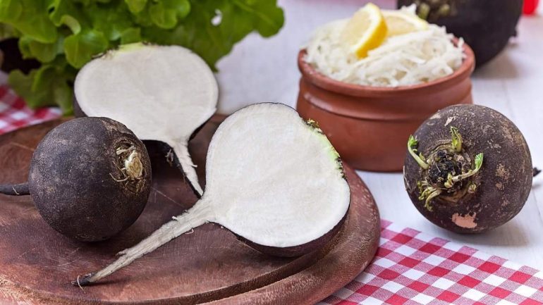 Черная редька: польза и вред продукта для мужчин, женщин и детей, показания и противопоказания к применению, использование при похудении, для волос и в кулинарии