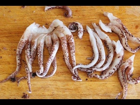 Кальмары: химический состав, польза для женщин и мужчин, а также можно ли детям, кому противопоказан и в каком виде в нем сохраняется больше всего витаминов?