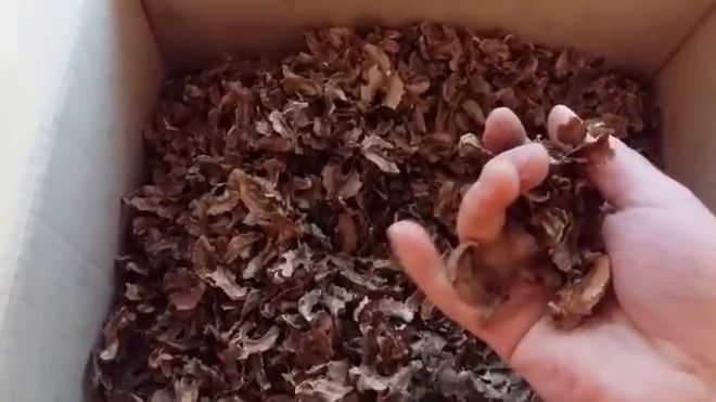 Для щитовидної залози Для щитовидної залози