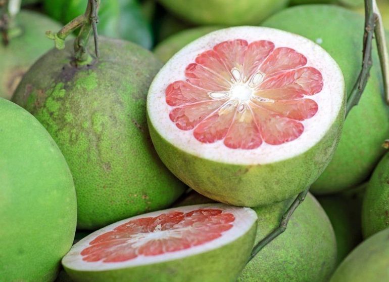 Помело польза и вред для мужчского и женского здоровья, противопоказания, а также как правильно выбрать и хранить фрукт?