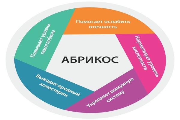 Корисні властивості абрикосів Корисні властивості абрикосів