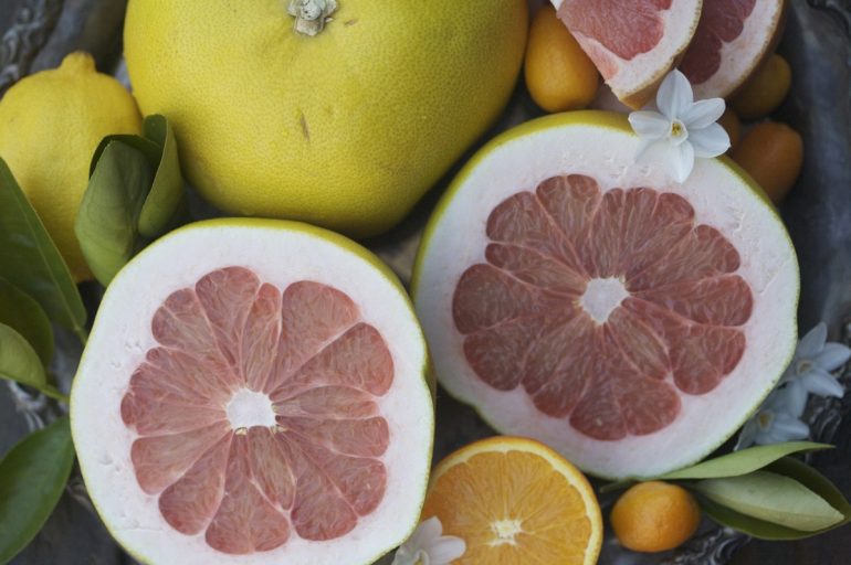 Помело польза и вред для мужчского и женского здоровья, противопоказания, а также как правильно выбрать и хранить фрукт?