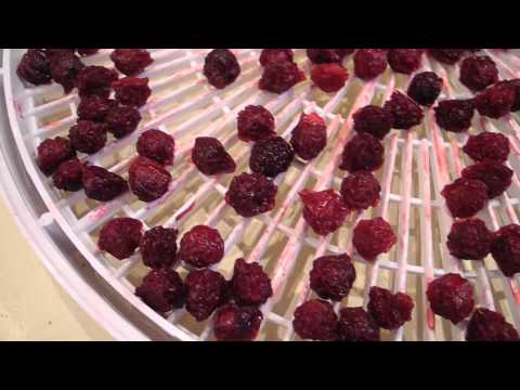 Вишня: ее полезные и лечебные свойства, показания и противопоказания, а также почему ее назвают сердечной ягодой, как ее правильно хранить и почему косточки нельзя есть?