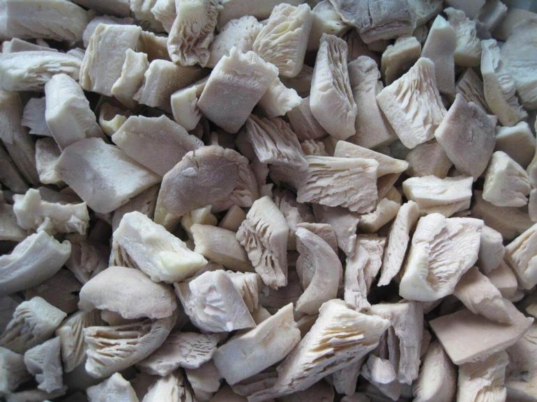 Вешенки: польза и вред, показания и противопоказания к употреблению, использование в косметологии (рецепты масок для кожи), а также как выбрать и хранить эти грибы?