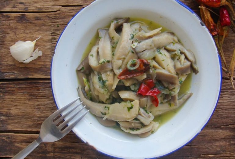 Вешенки: польза и вред, показания и противопоказания к употреблению, использование в косметологии (рецепты масок для кожи), а также как выбрать и хранить эти грибы?