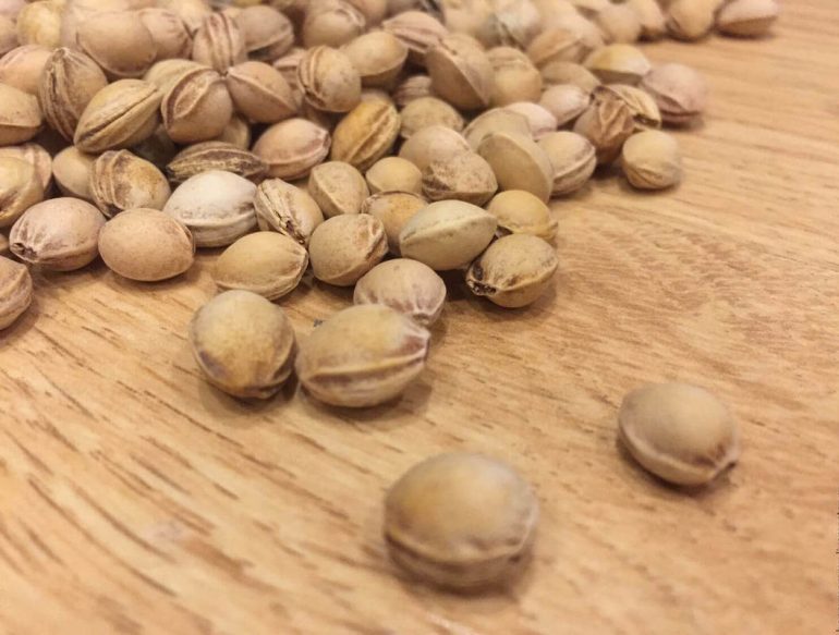 Вишня: ее полезные и лечебные свойства, показания и противопоказания, а также почему ее назвают сердечной ягодой, как ее правильно хранить и почему косточки нельзя есть?