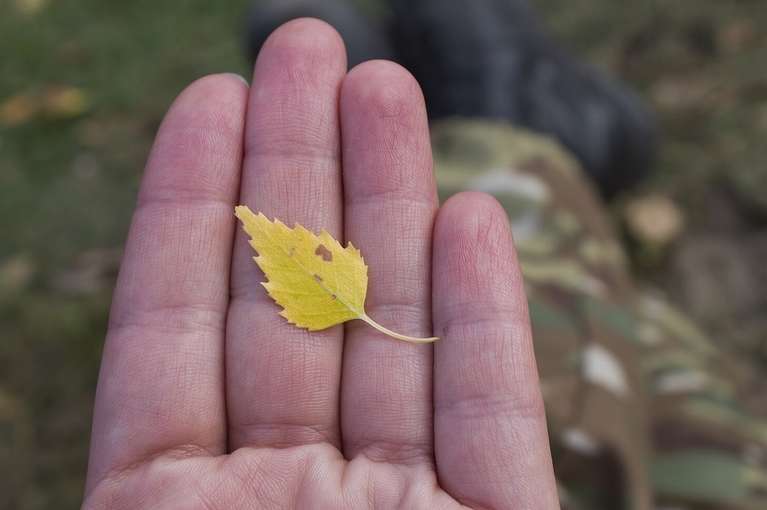 До чого свербить ліва долоня?