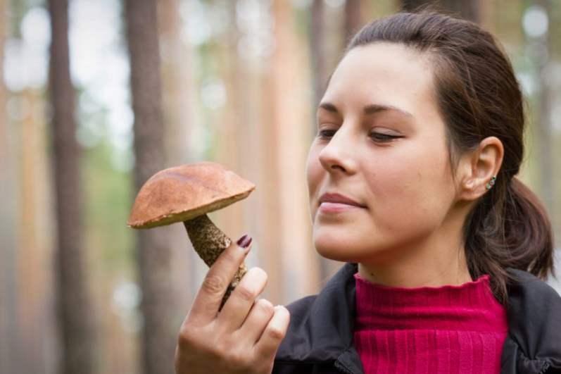 Сонник гриби на тілі: Сонник гриби на тілі: