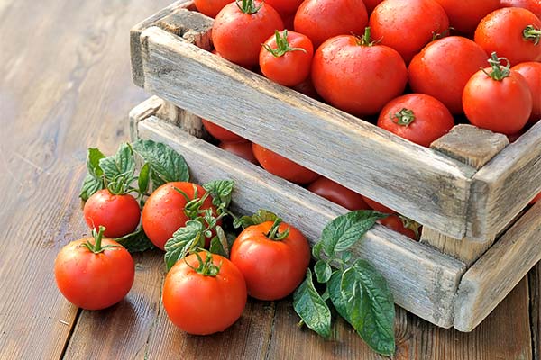 Сонник помідори: до чого сняться і що означають сни про помідори