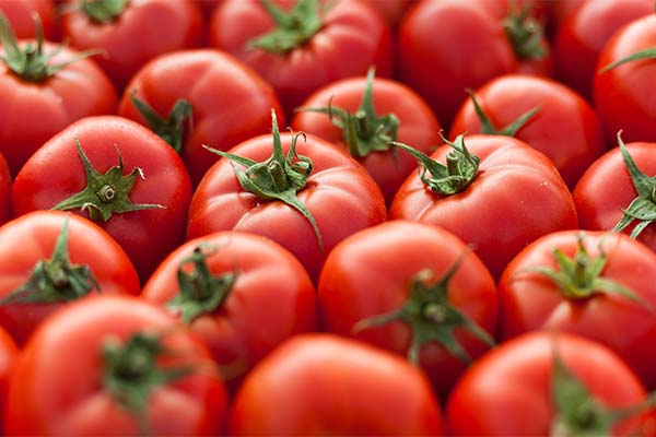 Сонник помідори: до чого сняться і що означають сни про помідори