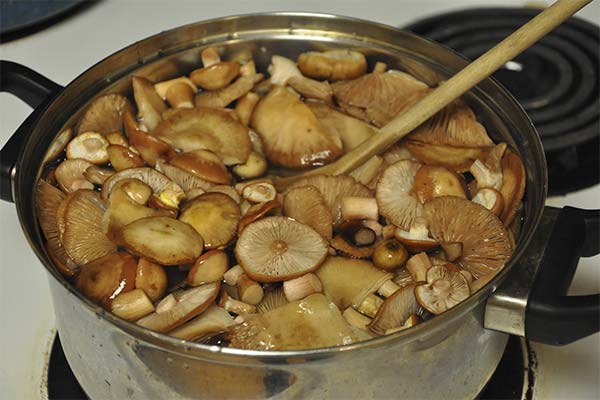 Сонник варити гриби: до чого сниться і що означає сон?