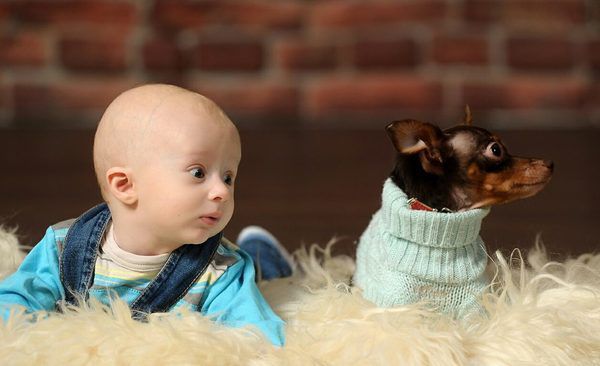 Кращі собаки для дітей: ТОП-5 найбільш доброзичливих вихованців!