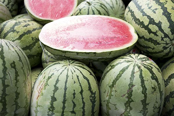 До чого сниться кавун жінці чи чоловікові — 83 тлумачення з різних сонників.