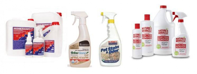 Як і чим вивести котячу сечу з дивана: швидкі способи!