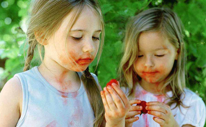 Плями від ягід: чим вивести в домашніх умовах?