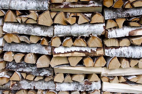 До чого сниться збирати дрова — 58 тлумачень із різних сонників.