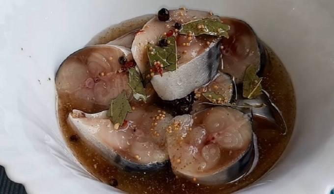 Сусідка поділилася рецептом найніжнішої скумбрії! Малосольна скумбрія в гарячому маринаді