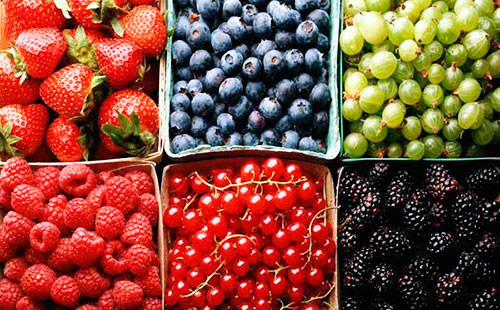 Сирний пиріг з ягодами – смачні рецепти