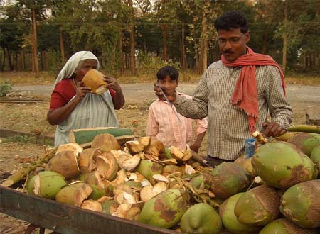 Смачні та прості рецепти з курки. Курка під соусом каррі з вершками по-індійськи