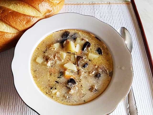 Грибний суп з сушених грибів: 10 найбільш смачних рецептів