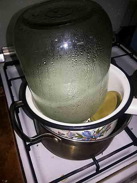 Хрусткі консервовані огірки. Рецепт найсмачніших огірків на зиму