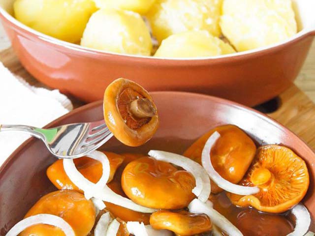 Рижики на зиму – 4 рецепту приготування. Як солити гриби в банках, прості рецепти