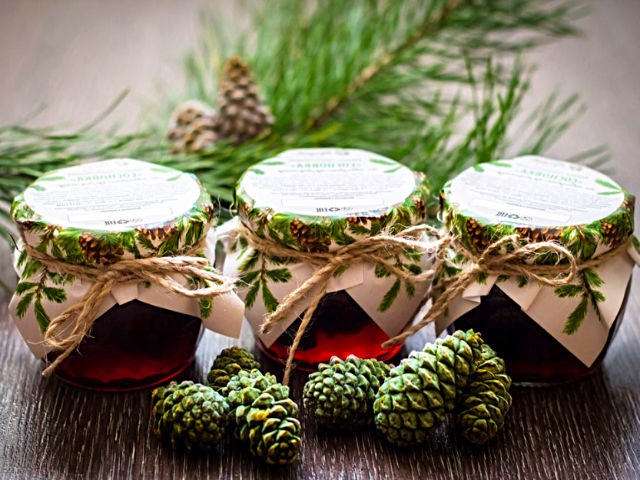 Варення із соснових шишок — корисні властивості і 9 способів його приготувати
